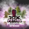 BSF - PSYCHO XXL AUTO X 12 SEMILLAS