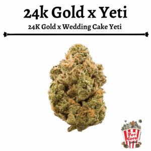 POTCORN -24K GOLD FOTOPERIODICA