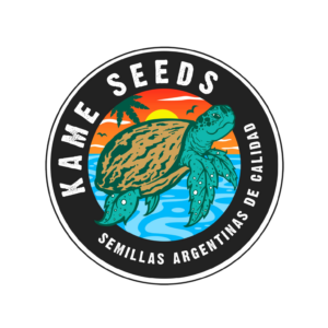 KAME SEEDS