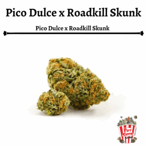 POTCORN - PICO DULCE X ROADKILL SKUNK X4 FOTOPERIODICA