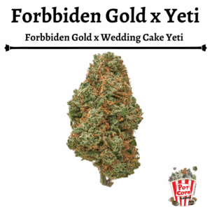 POTCORN – FORBIDDEN GOLD X YETI FOTOPERIODICA X 4 SEMILLAS