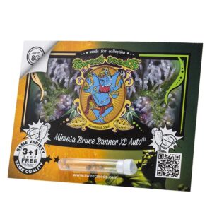 SWEETSEEDS - MIMOSA BRUCE BANNER x 4 SEMILLAS AUTOMATICA