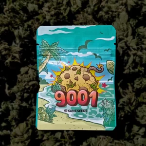 KAME SEEDS – 9001 X3 SEMILLAS FOTOPERIODICA