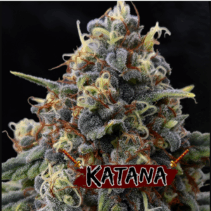 KAME SEEDS - KATANA  X 3 SEMILLAS FOTOPERIODICAS