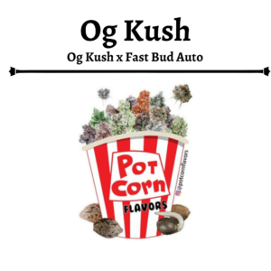 POTCORN - OG KUSH AUTOMATICA X 4 SEMILLAS