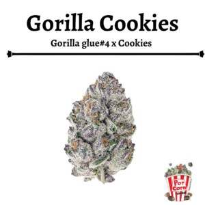 POTCORN - GORILLA COOKIES AUTOMATICA X 4 SEMILLAS