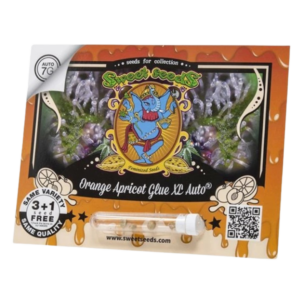 SWEETSEEDS - ORANGE APRICOT GLUE XL  X 4 SEMILLAS AUTOMATICAS