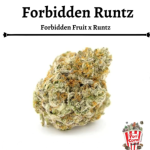 POTCORN - FORBIDDEN RUNTZ AUTOMATICA X 4 SEMILLAS