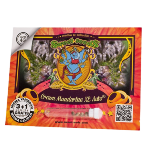 SWEET SEEDS - CREAM MANDARINE XL x 4 SEMILLAS AUTOMATICAS