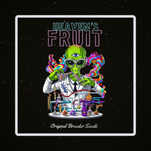 Heaven's Fruit - Krokodile x 4 Semillas Automaticas